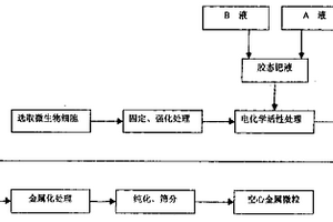 以微生物细胞为模板的空心金属微粒及其制备方法
