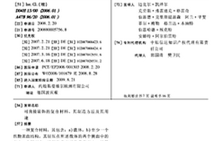 可直接装饰的复合材料、其制造方法及其用途