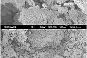 抗H<sub>2</sub>O、SO<sub>2</sub>和重金属化毒害的烟气脱硝催化剂及其制备方法