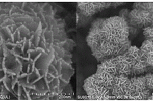 PEG-CuMo<Sub>2</Sub>S<Sub>3</Sub>纳米材料的制备方法及纳米材料