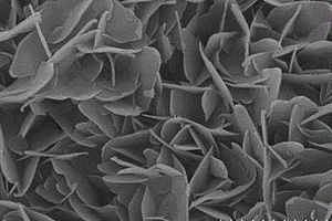Fe掺杂Ni(OH)<Sub>2</Sub>/Ni-BDC电催化剂的制备方法