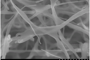 三维石墨烯—碳纳米管网络结构及其制备方法