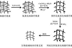高生物活性玻璃纳米纤维支架的制备方法