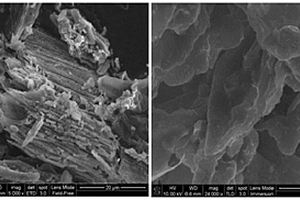 具有氧还原活性的非贵金属掺杂的狐尾藻衍生碳基材料及其应用