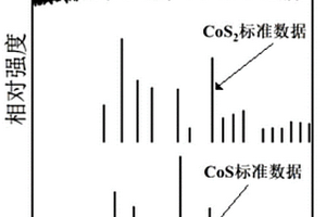 金属硫化物纳米材料及其制备方法和应用