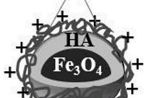 用于油水分离的Fe3O4/HA/CSMNPs及制备方法、应用