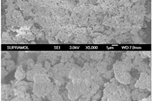 抗H<sub>2</sub>O、SO<sub>2</sub>、重金属和粉尘毒化的烟气脱硝多元催化剂