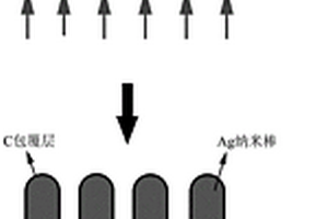 碳包覆的银纳米棒阵列及其制备方法和应用