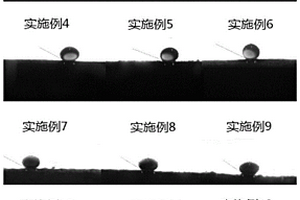 亲水疏油海绵及其制备方法和应用