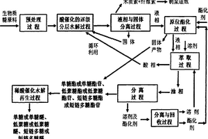 生物质及其他多结构体轻质化的分解物原位定向合成与再生和循环利用的系统