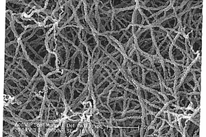 制备硒化锌纳米纤维的方法