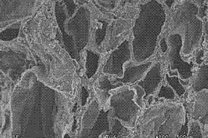 纳米铁/凹土/聚乙烯醇多孔材料及其生物膜载体