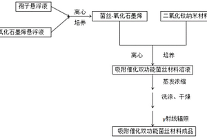 高效吸附催化双功能菌丝材料的制备方法