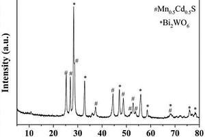 Z型结构Mn<sub>0.5</sub>Cd<sub>0.5</sub>S/Ag/Bi<sub>2</sub>WO<sub>6</sub>复合型光催化剂及其制备方法