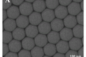 SPR在近红外的Ag-TiS<Sub>2</Sub>复合SERS基底及其制备方法