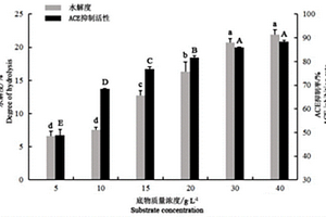 酶解桑叶蛋白制备ACE抑制肽的方法