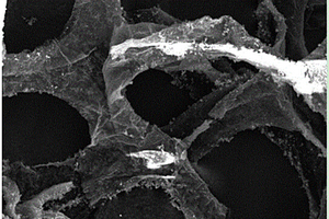 三维泡沫石墨烯的制备方法