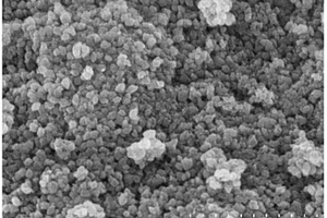 胡敏酸改性纳米Fe<sub>2</sub>O<sub>3</sub>材料制备方法及去除雌二醇的应用