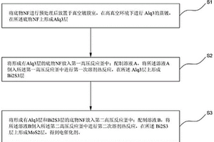 电催化剂及其制备方法