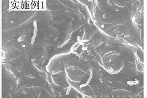 碳纳米管-锂钛掺杂的氧化镍复合物及其制备方法