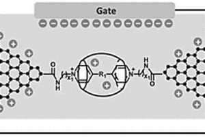 基于超分子的单分子场效应晶体管及其制备方法