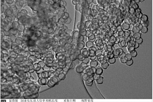 具有中空结构的多孔有机聚合物纳米球及其制备方法