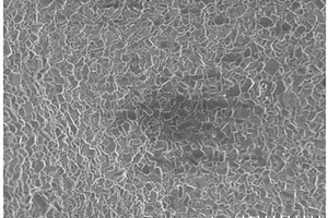 钼酸铬微纳米材料的制备方法