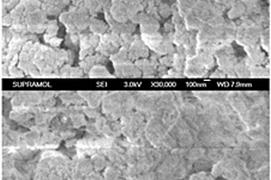 用于烟气脱硝的抗H<sub>2</sub>O、SO<sub>2</sub>、重金属和粉尘毒化多元催化剂