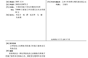 以季铵化己内酰胺为阳离子的离子液体及其制备方法