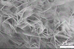 Ni(OH)<sub>2</sub>-NiTe<sub>2</sub>复合电解水催化剂的制备方法