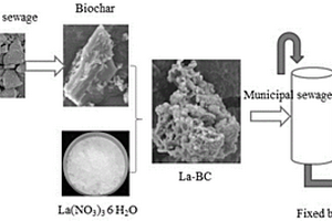 镧改性污泥生物炭的制备方法及其应用