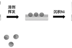 光磁双重响应的Janus粒子、制备和应用与形貌调控方法