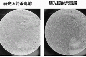 基于弱光光催化抗菌杀毒的口罩及衍生涂层材料
