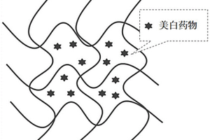 美容仿生聚合物膜及其制备方法和应用