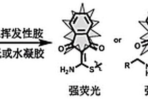 具有荧光响应的小分子探针在制备荧光传感器的应用及基于其的荧光传感器