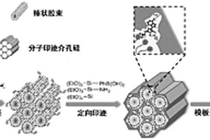 分子印迹介孔材料合成方法与应用