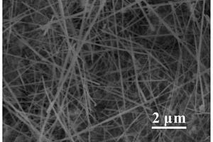 钒酸镨纳米线电极材料及其制备方法