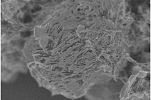 毛线球复合光催化剂碳掺杂钒酸铋@多壁碳纳米管及其制备方法