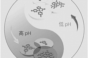 基于电解液的电致变色方法