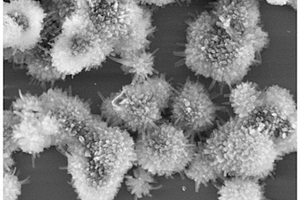 海胆状氮化硼纳米球-纳米管分级结构及其制备方法
