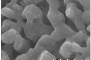 钛酸铜钙纳米材料的制备方法