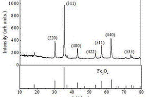 超高饱和磁化强度Fe<sub>3</sub>O<sub>4</sub>纳米颗粒及其磁性流体的制备方法