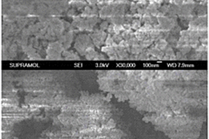 抗H<sub>2</sub>O、SO<sub>2</sub>和碱金属化毒害的烟气脱硝多元催化剂