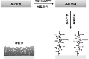 具有生物抗污功能的材料、其制备方法及应用