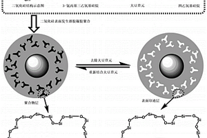 大豆苷元溶胶凝胶表面分子印迹聚合物及其制备方法
