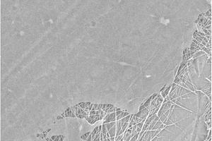 氧化石墨烯单分子层修饰聚丙烯腈纳米纤维膜的制备方法