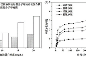 β-环糊精/聚多巴胺协同抗污型分子印迹有机复合膜的制备方法及其应用