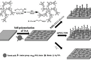 含TAA的杀菌、抗蛋白吸附以及特异性识别多功能材料的制备方法