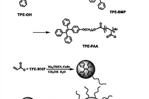 pH响应型AIE荧光纳米聚合物量子点的合成方法及应用