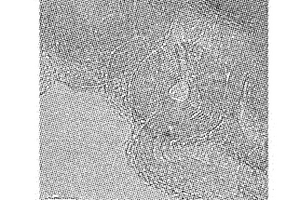 纳米洋葱状类富勒烯材料及制备